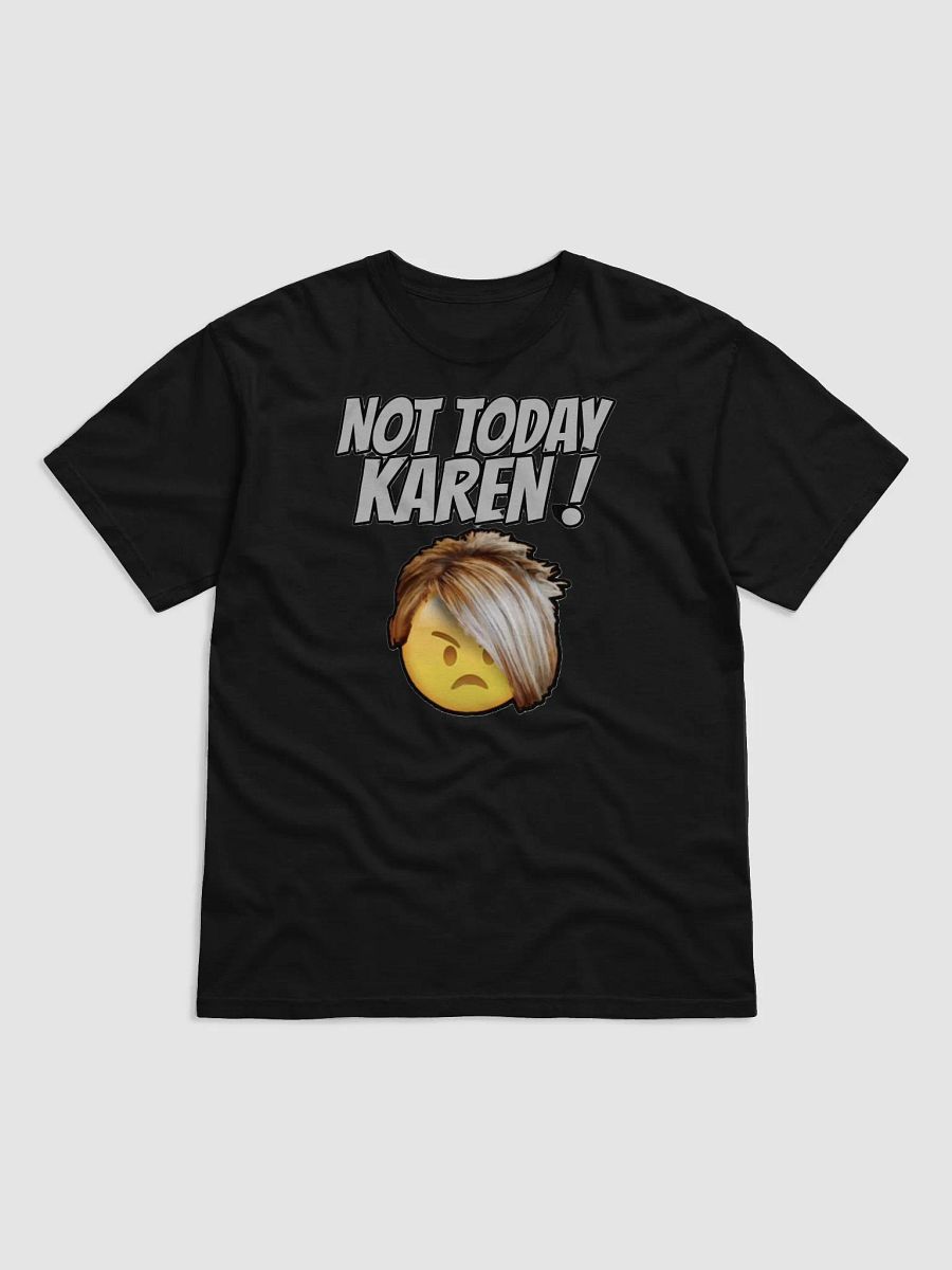 NOT TODAY KAREN! product image (32)