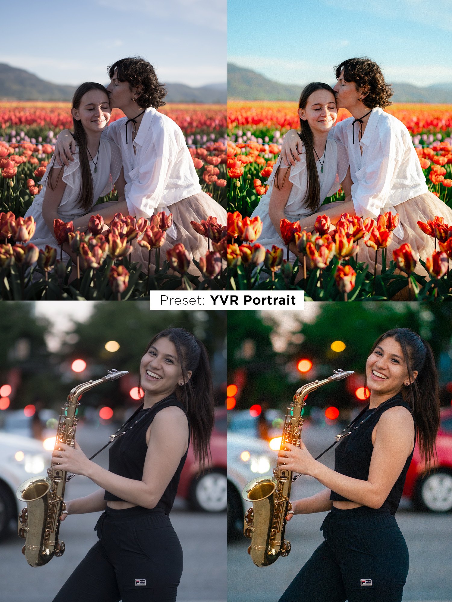 Ultimate Preset Bundle product image (7)