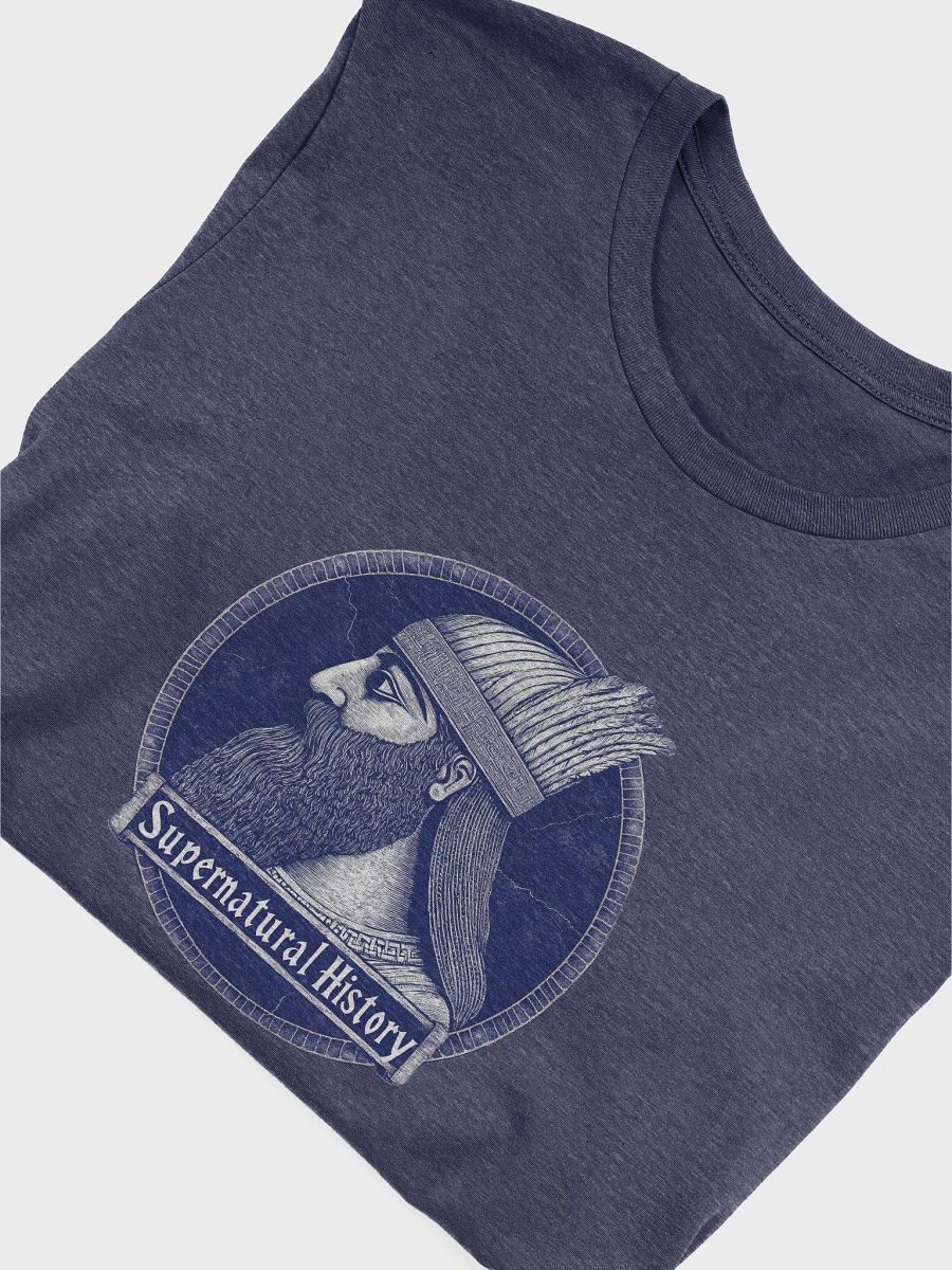 Supernatural History Emblem T-Shirt product image (3)