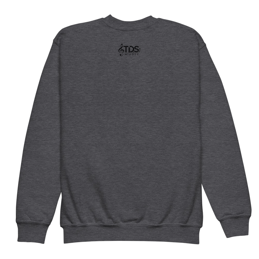 TDS Music Youth Crew Neck Sweatshirt in Blue, White, Black, Red, Gray (XS-XL) product image (11)