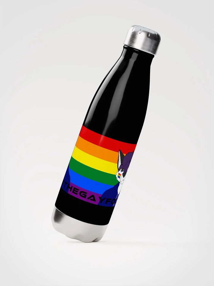Felix Progress Pride Stainless Steel Bottle product image (4)