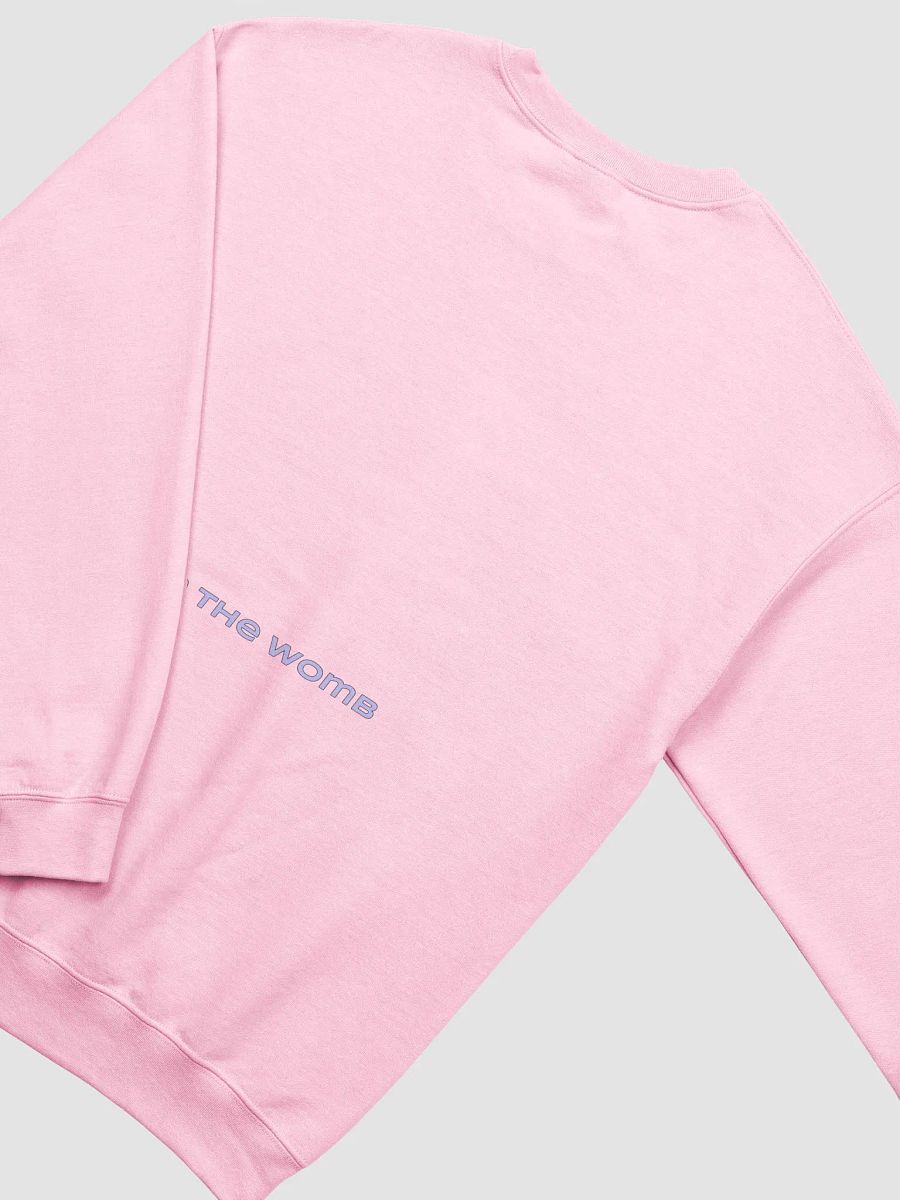 RTW Crewneck product image (4)