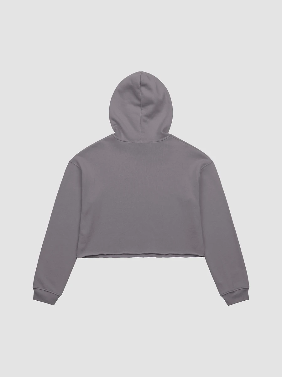 Vaporcicada fleece crop hoodie product image (3)