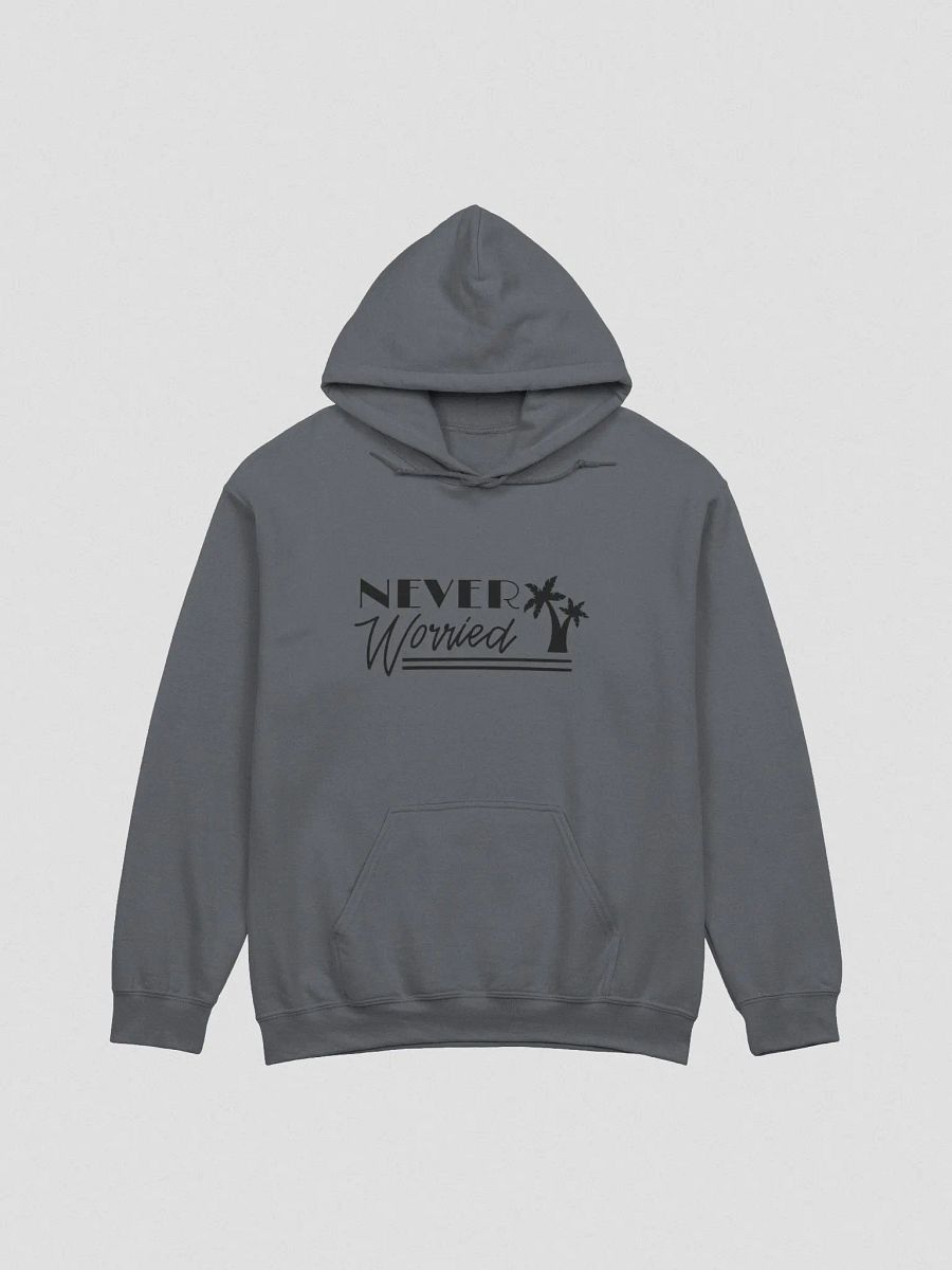 Never Worried Gildan Hoodie product image (5)