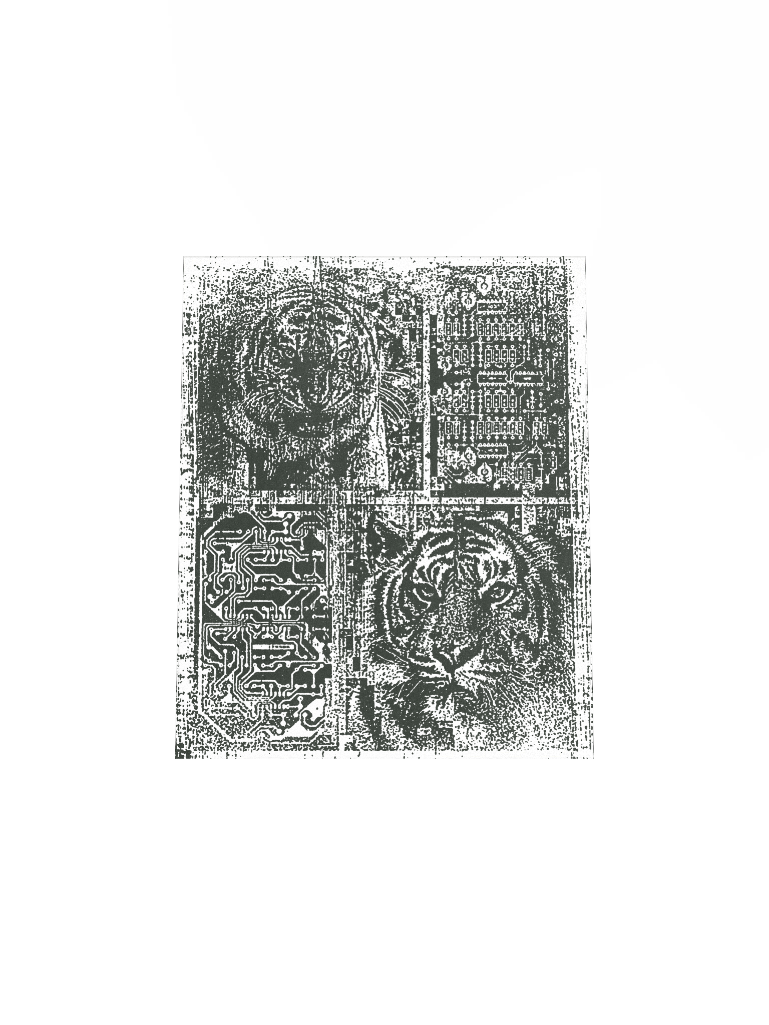 TIGER CHIP product image (4)