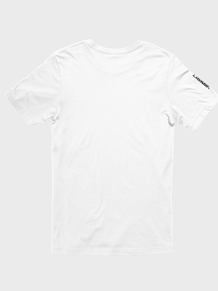 MMA | KS PROJECT Shirt (Print) product image (3)