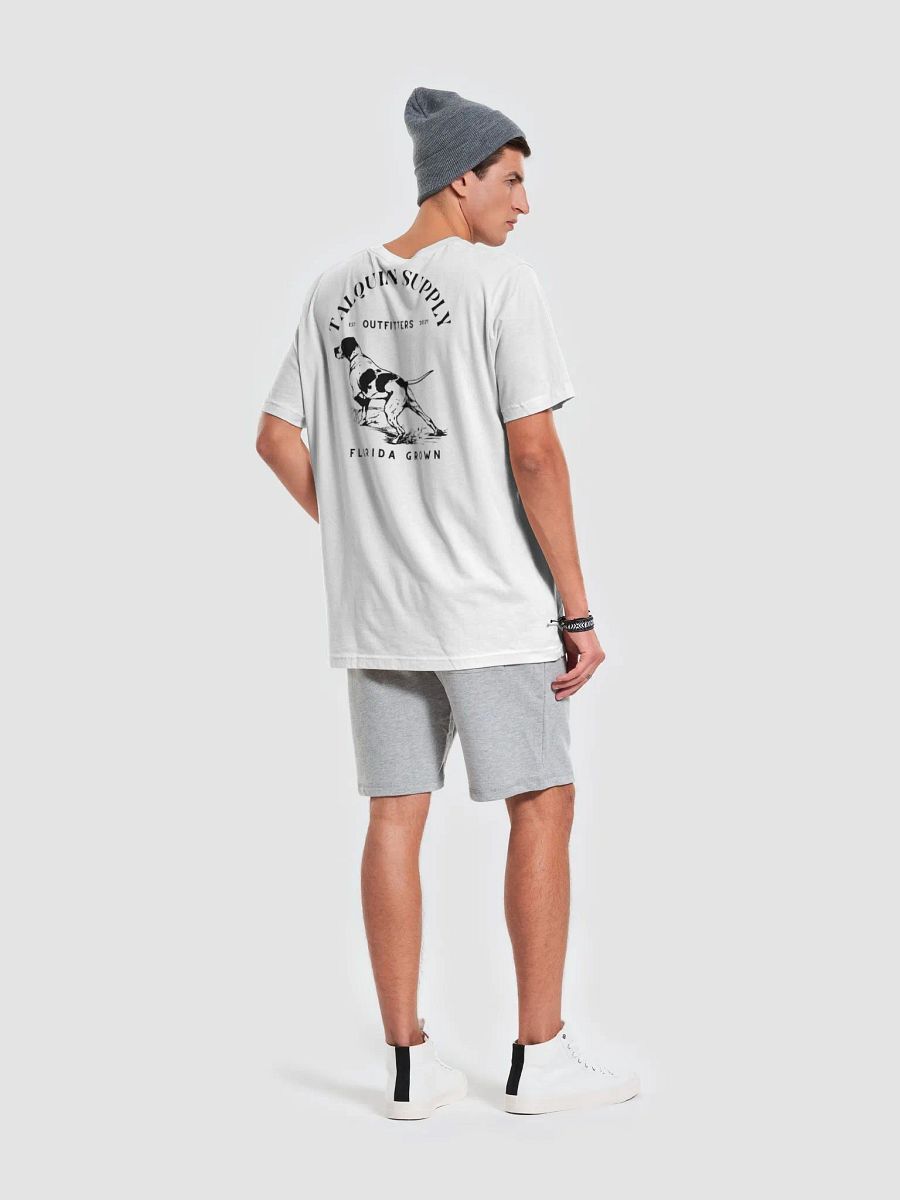 The Talquin Pointer product image (8)