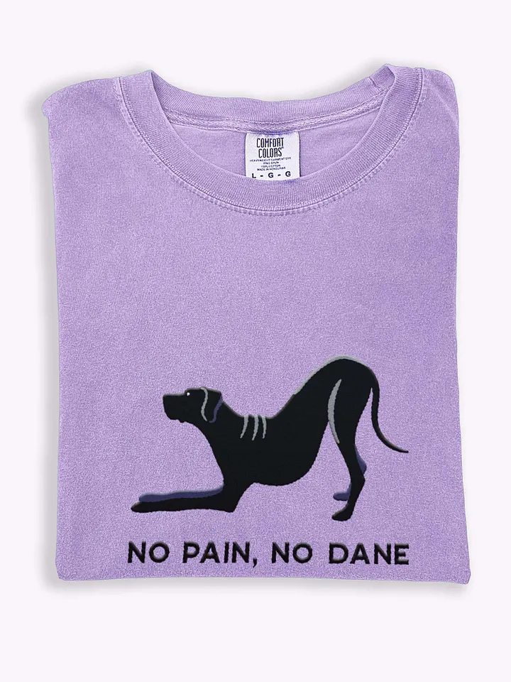 No Pain, No Dane T-Shirt(Embroidered) of a Great Dane(Black) product image (1)