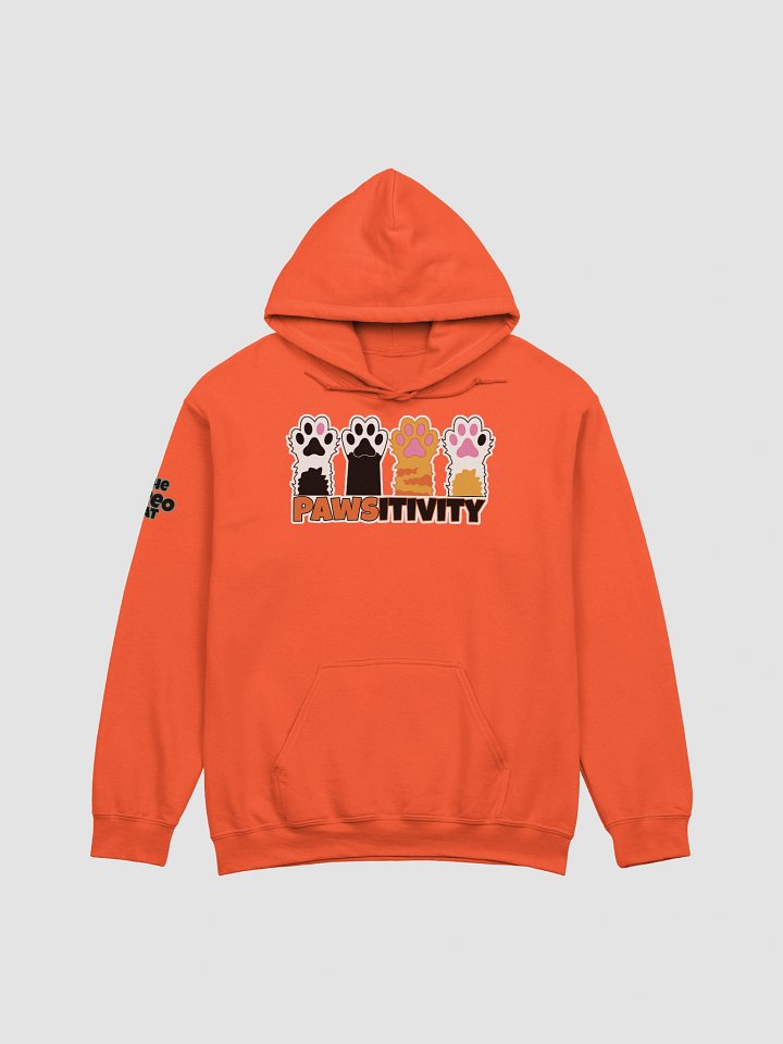 Pawsitivity Hoodie product image (17)