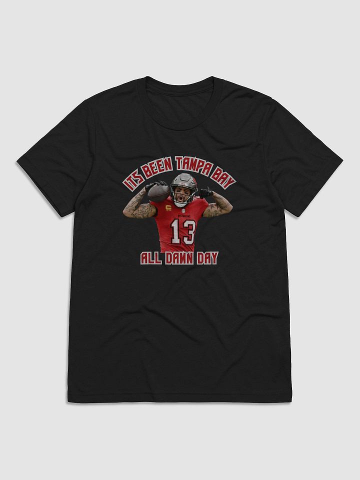 Its Been Tampa Bay, All Damn Day product image (2)