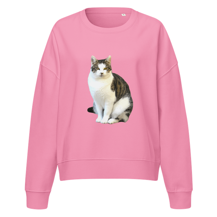 Tabby Dreams Organic Sweatshirt product image (1)