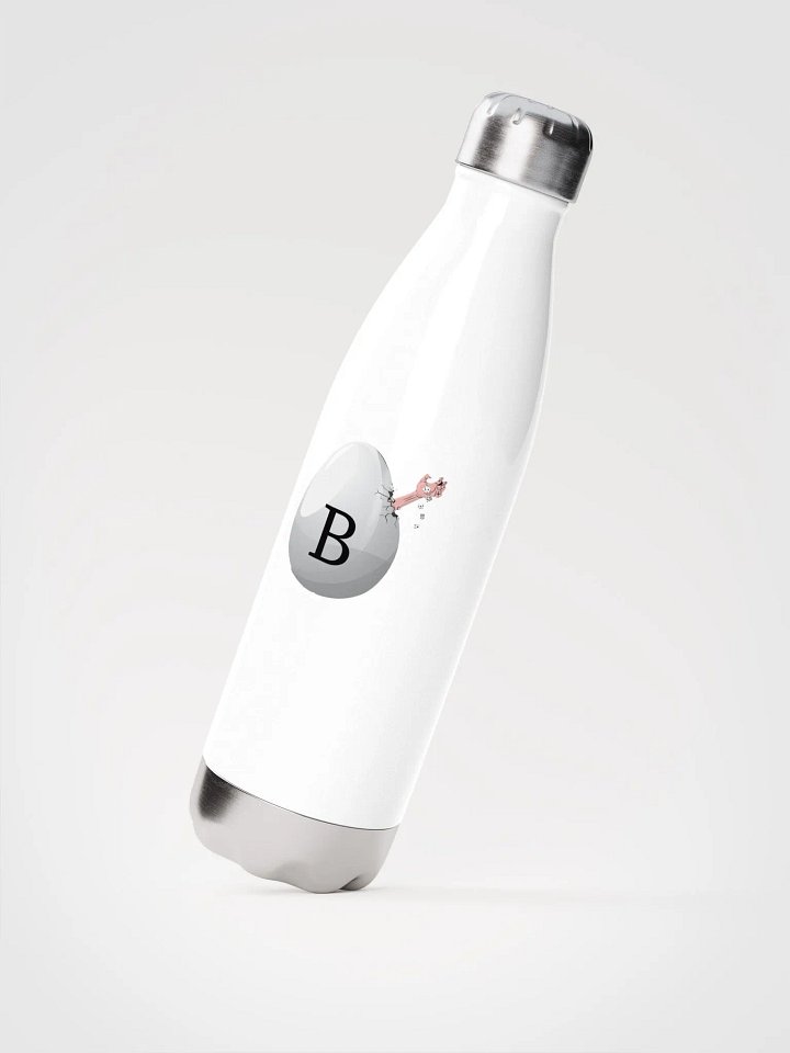 Steel bottle white product image (2)
