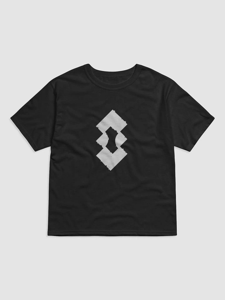 Dys Shirt (Champion Brand) product image (1)