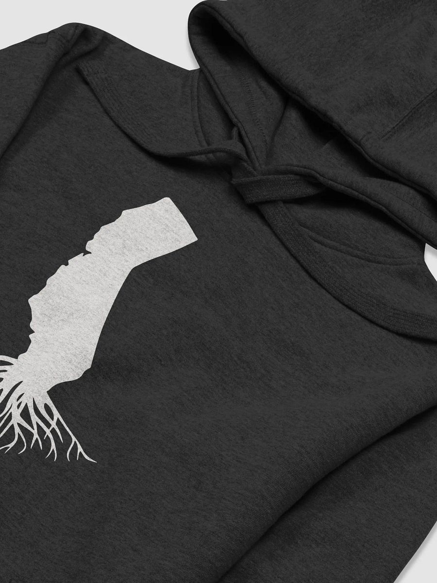 California Roots Hoody product image (3)