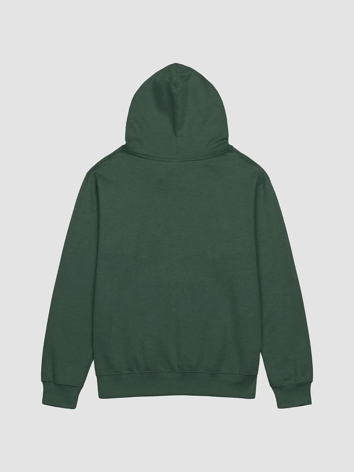 DR Circle Independent Trading Co. Midweight Hoodie product image (10)