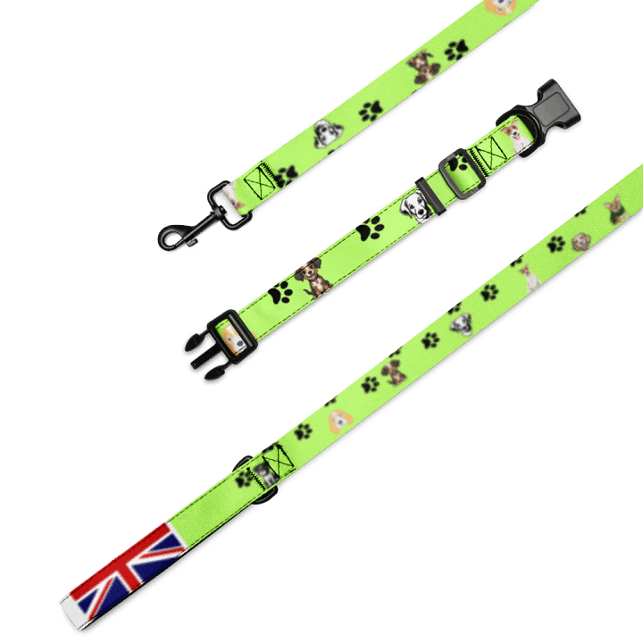 Iconic British Pet Collar & Leash Set product image (4)