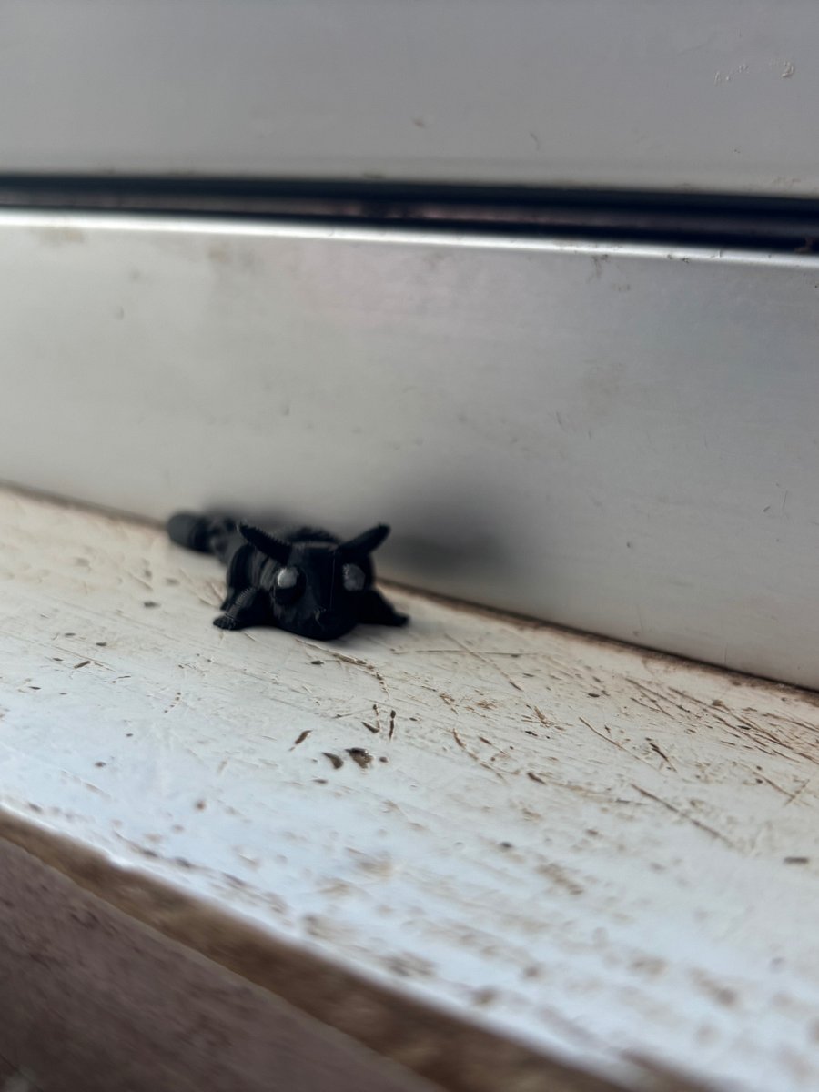 Mini sugar glider product image (1)