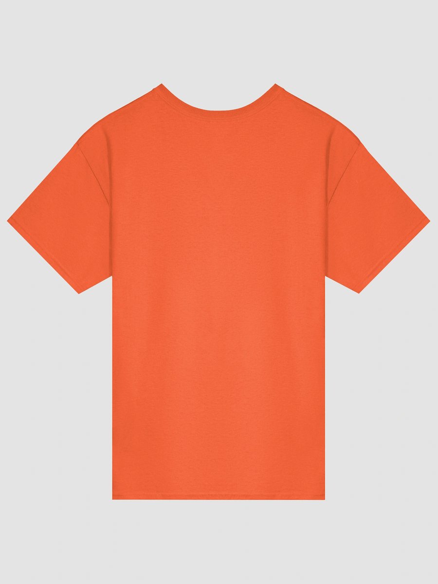 Healthy Wealthy Vegetarian & Vegan Tee product image (2)