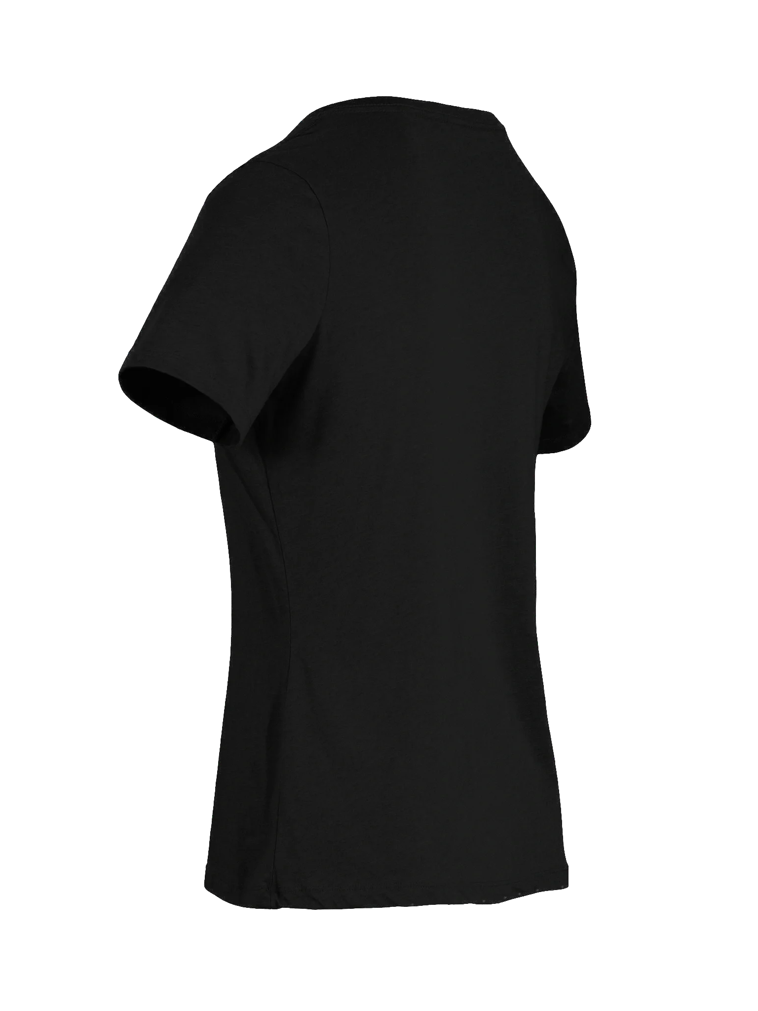 The Professional - Women's V-Neck product image (25)