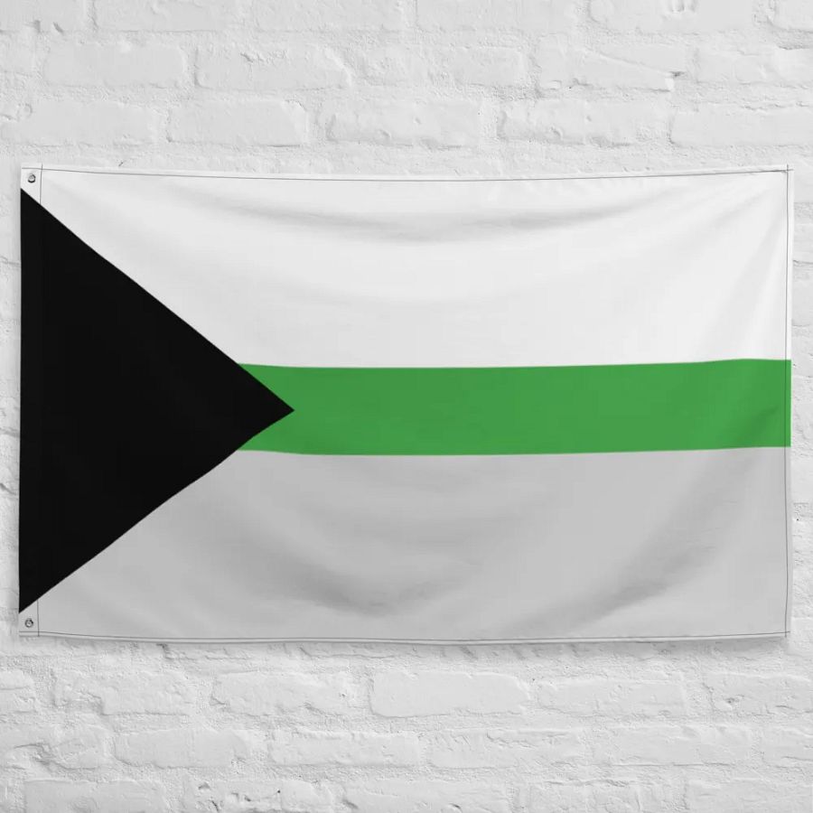 Demiromantic Flag product image (10)