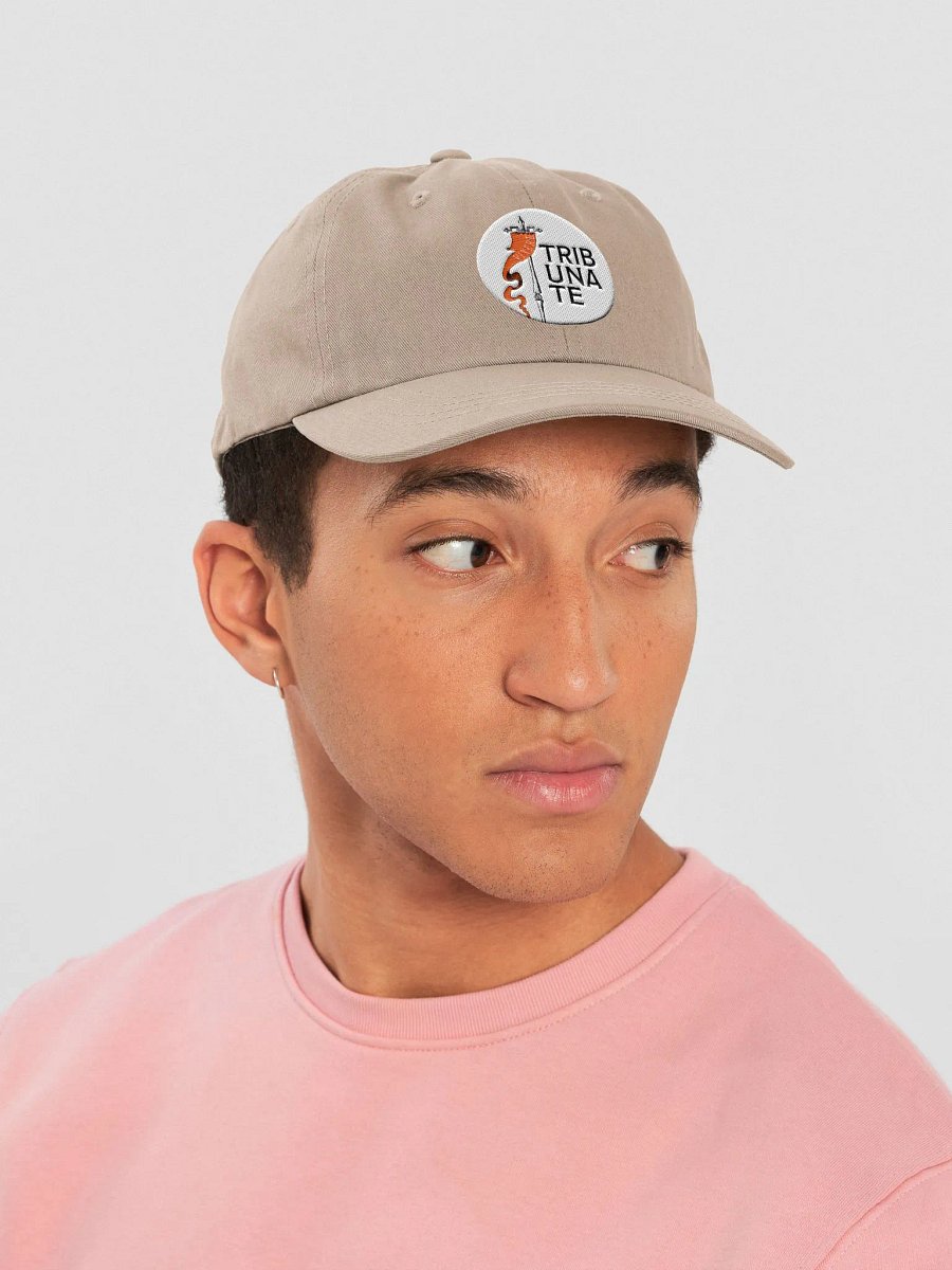 Tribunate Dad Hat product image (6)