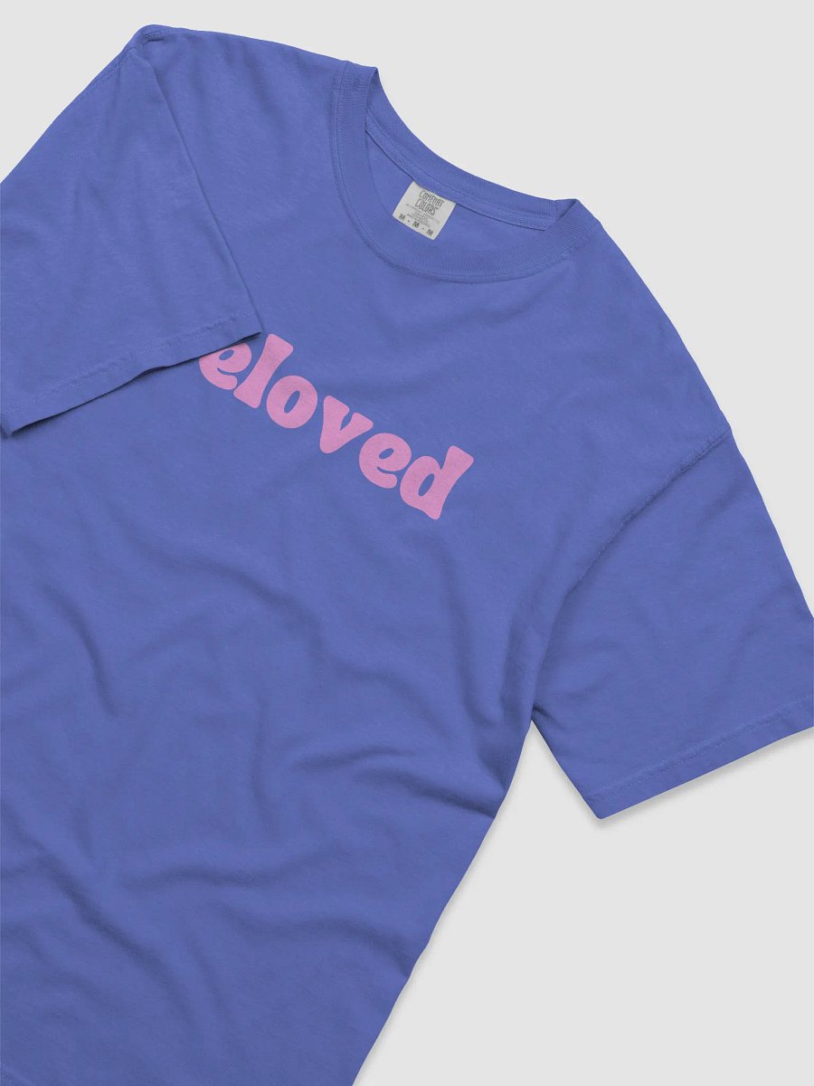 beloved t-shirt product image (7)