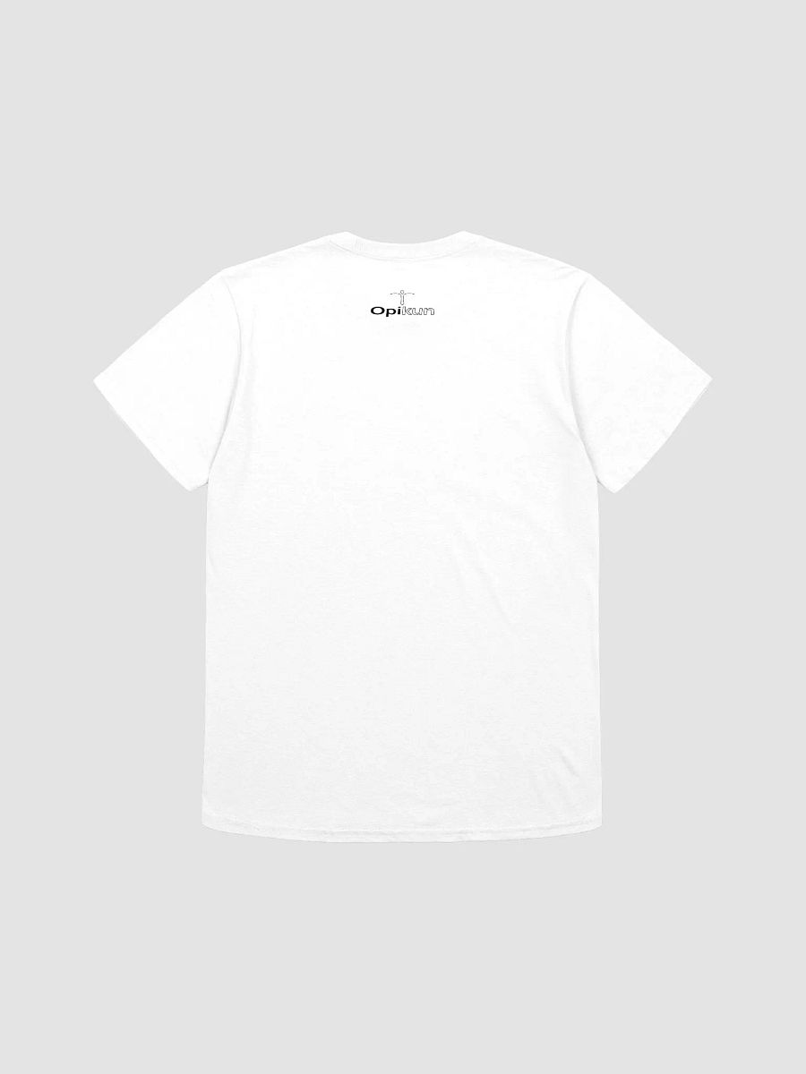 Conspiracy Leads To Spirituality - Gildan Unisex Softstyle T-Shirt product image (3)