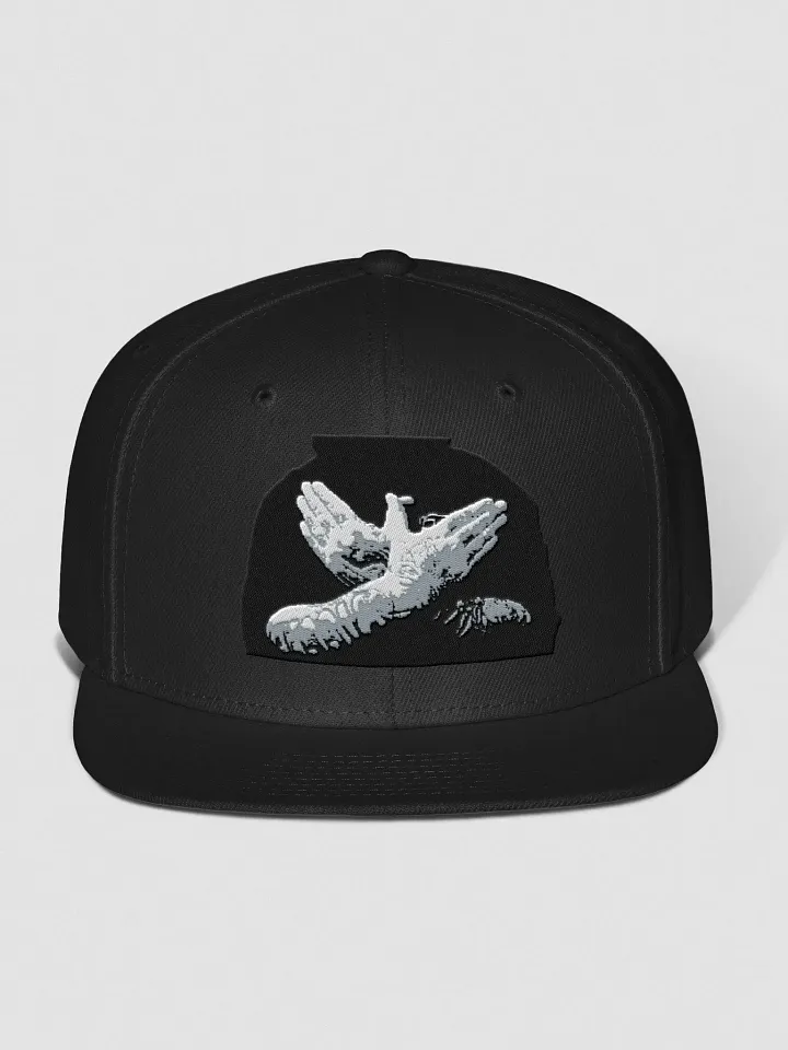 #tCt Cap product image (5)
