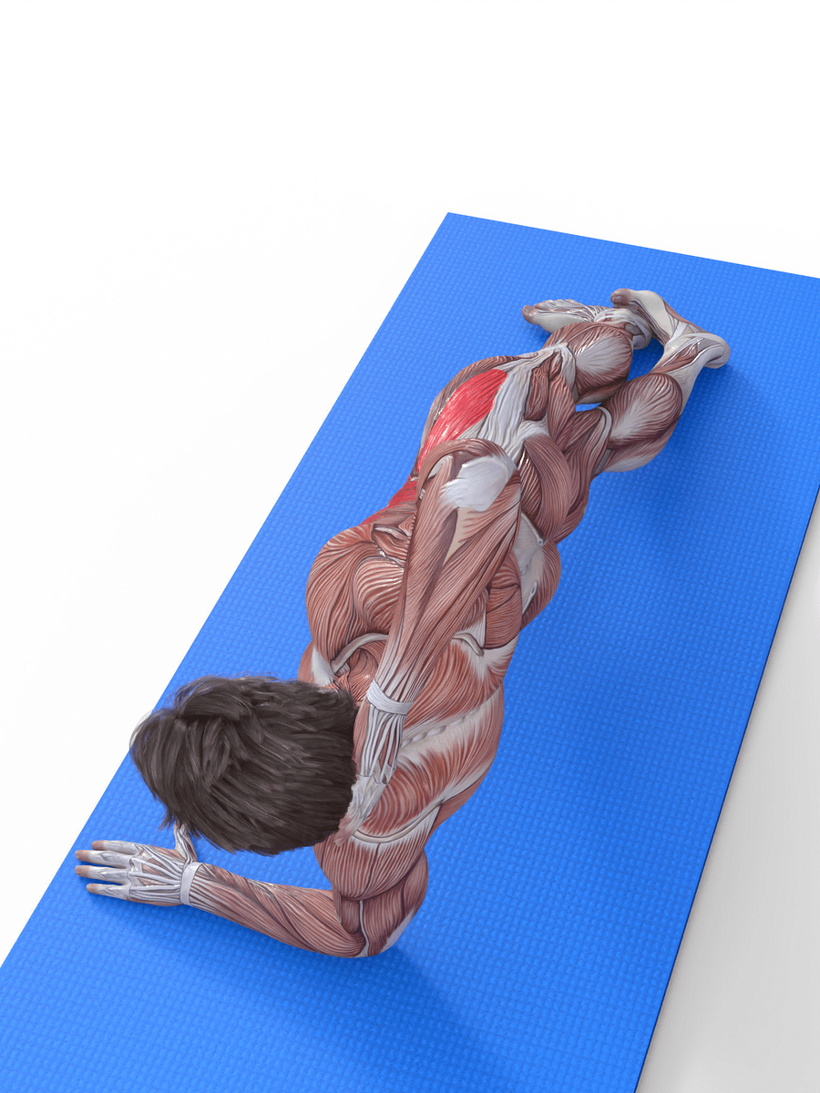 Side Plank Raise product image (3)