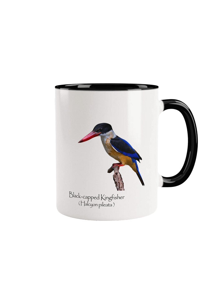 Black-capped Kingfisher mug product image (4)