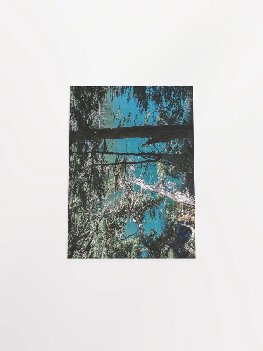 Lago Espejo Patagonia - Enhanced Matte Paper Poster product image (5)