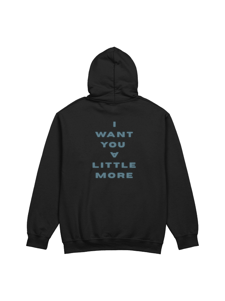 DAVID LEE HEAVY BLEND HOODIE product image (2)