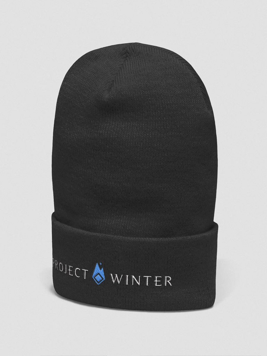 Basic Logo Beanie product image (4)