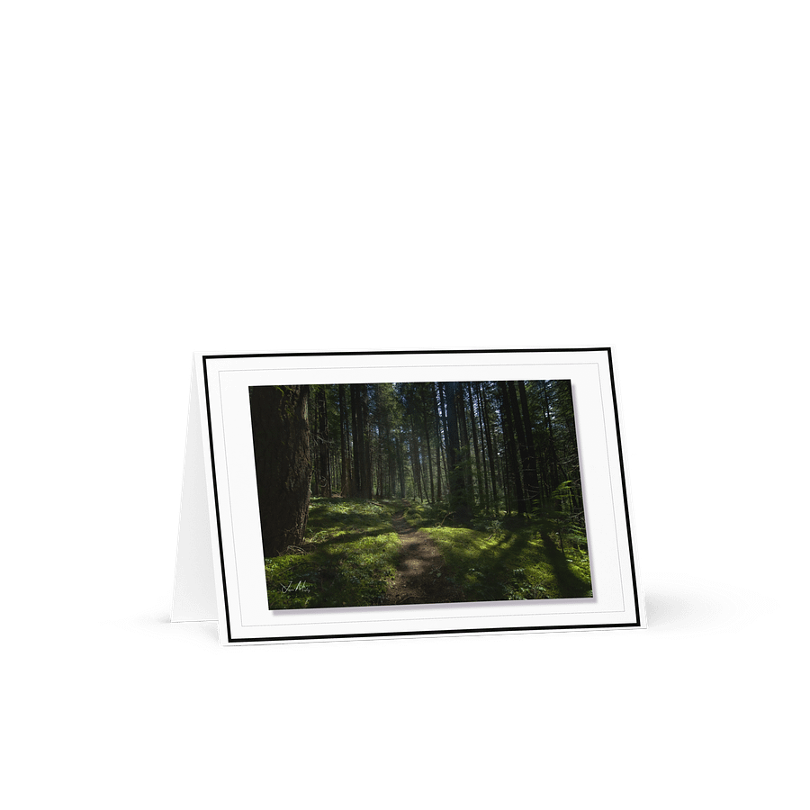 Lower Dungeness Trail Timber sun lighting Greeting Card product image (1)