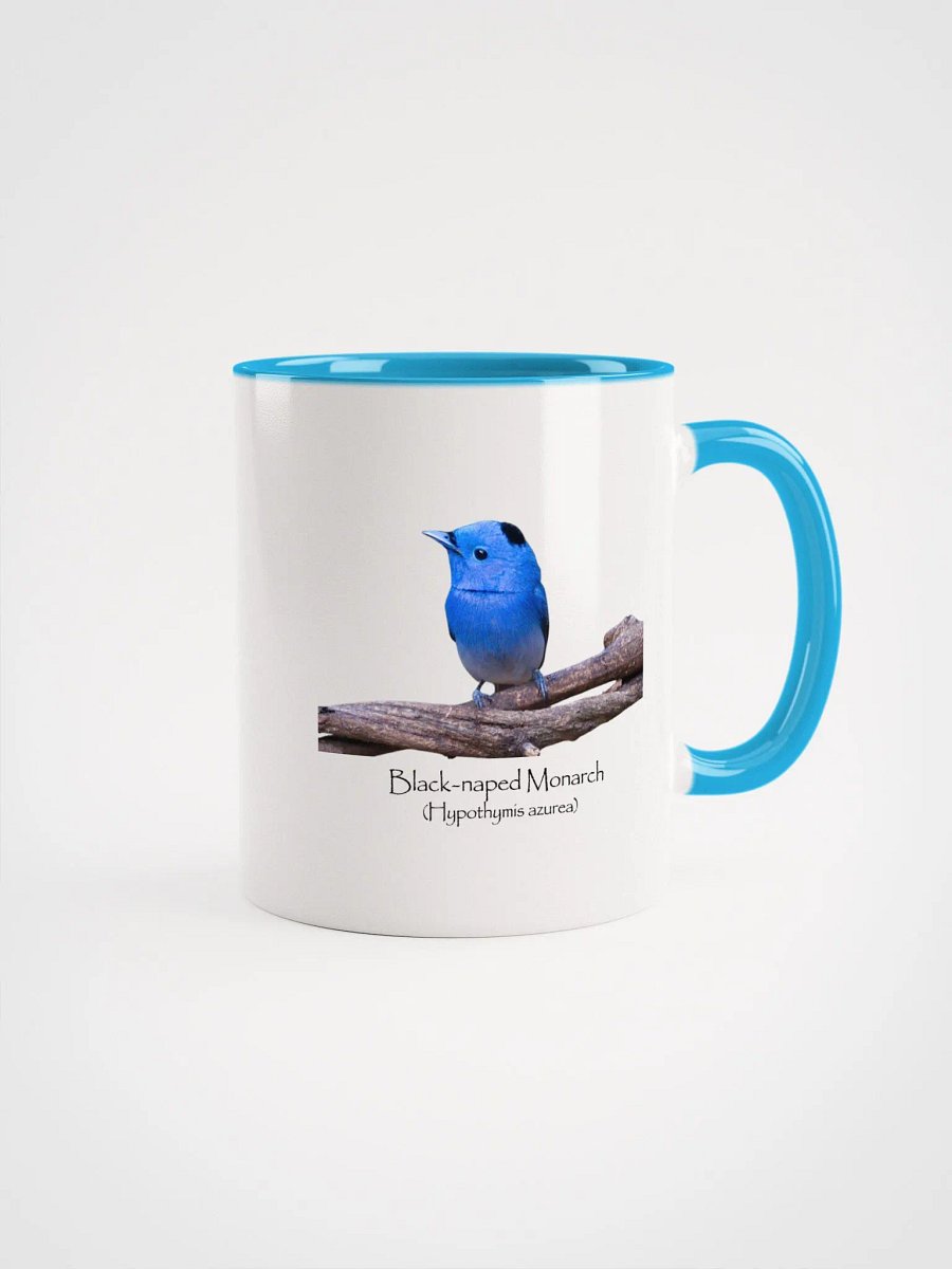 Black-naped Monarch. mug product image (1)