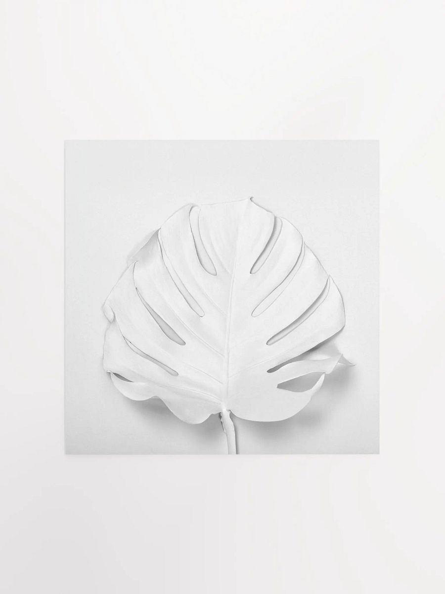Monochrome White Monstera Leaf Art Print product image (1)