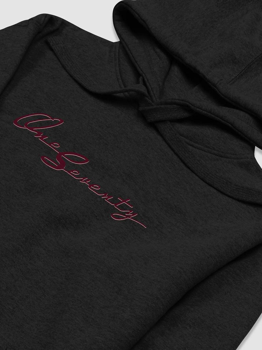 One Seventy Embroidered Cotton Unisex Premium Hoodie product image (3)
