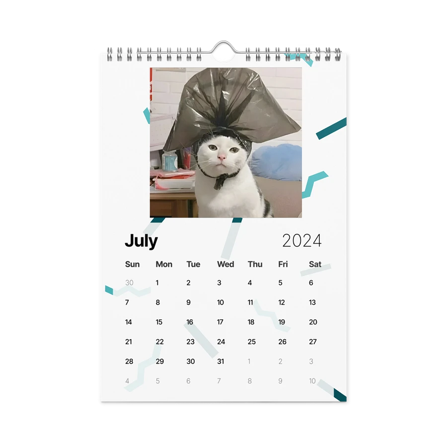 Wall Calendar (2024): Meme Cats product image (10)