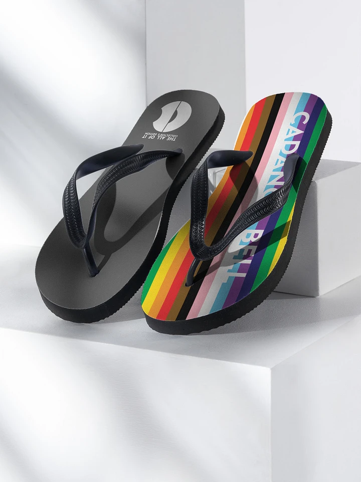 Pride Thongs: The All of It Collector's Edition (Flip Flops) product image (1)