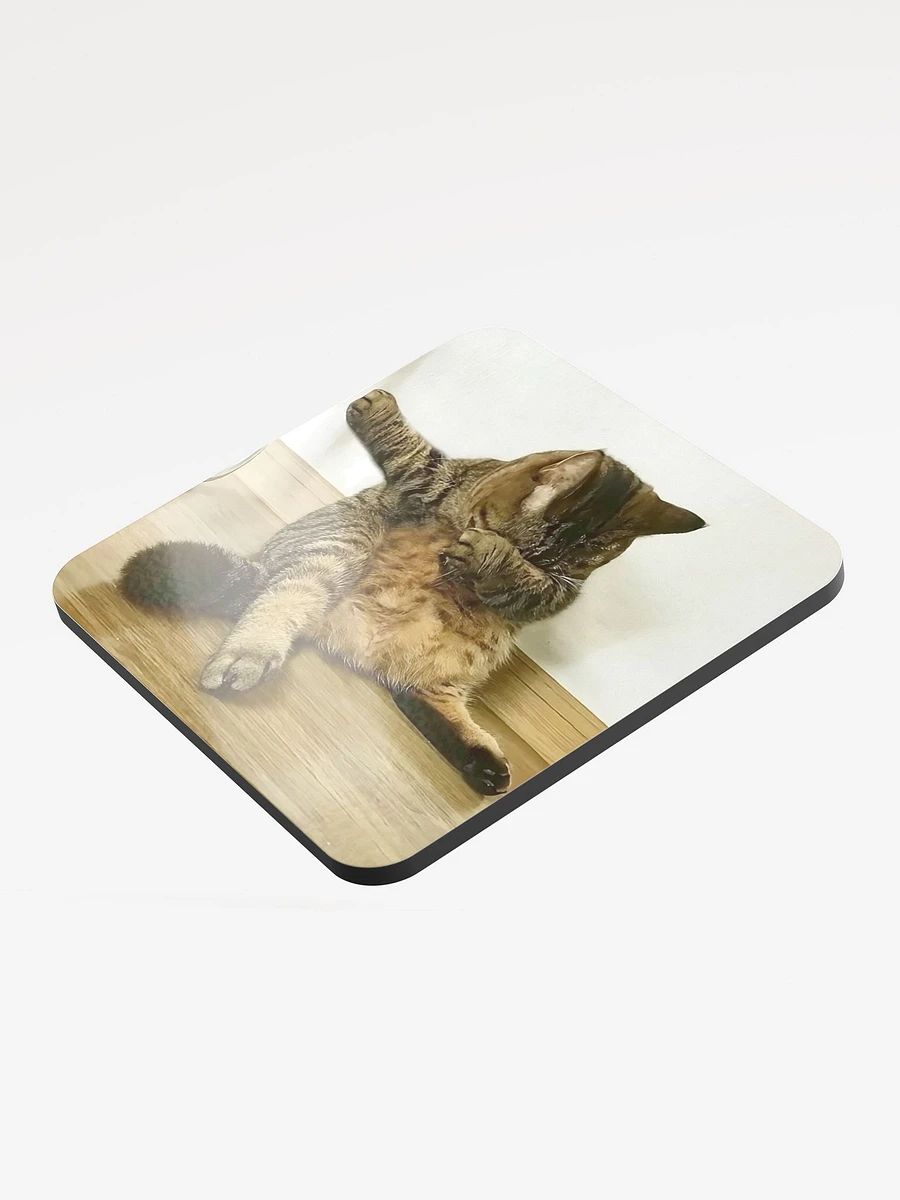 Glossed Cork Coaster: Meme Cats product image (3)