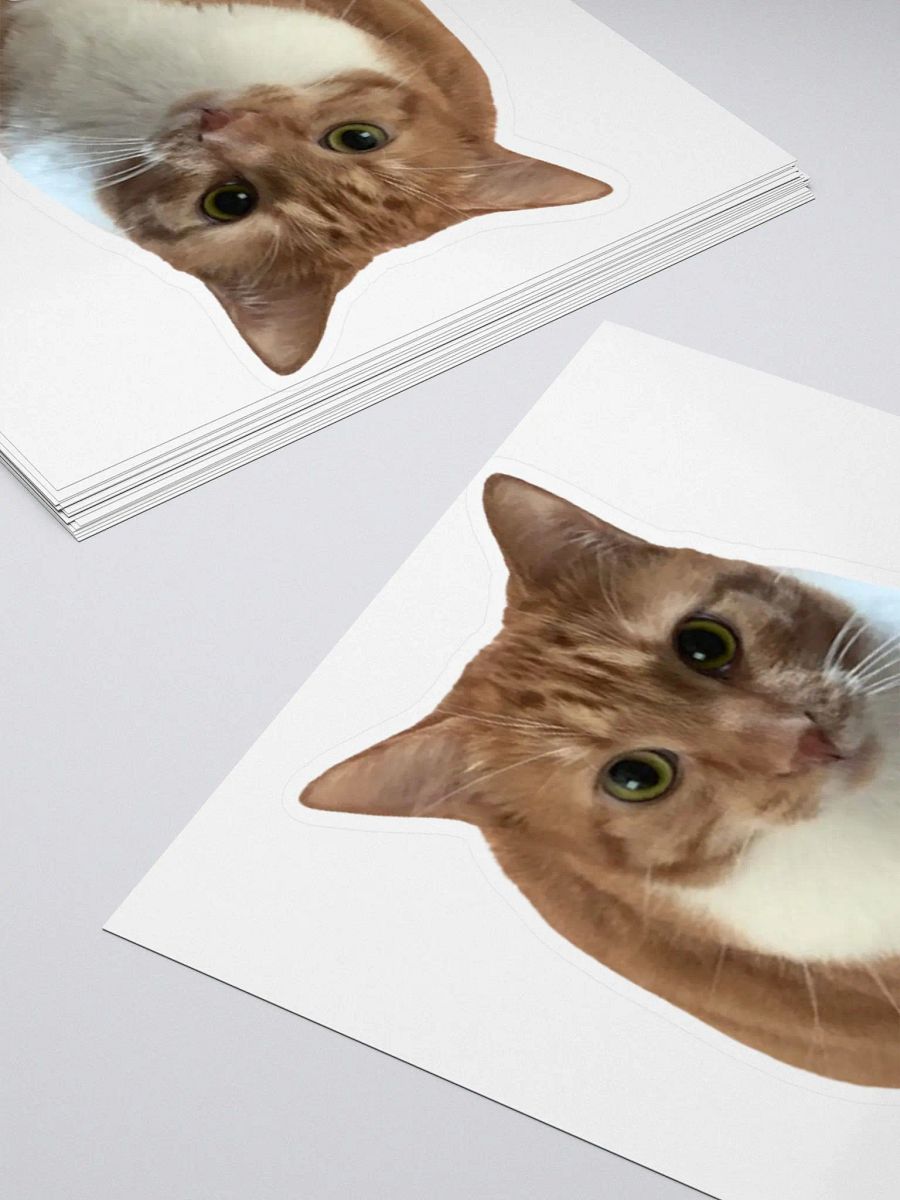 Cheese Sticker product image (4)
