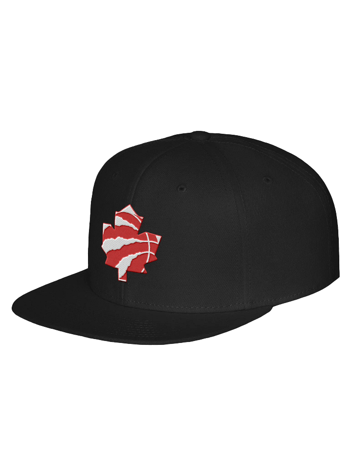 Toronto Dinos Snap product image (2)
