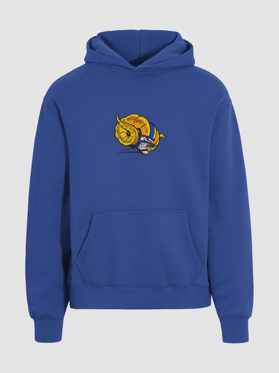 GRB LOGO HOODIE product image (2)