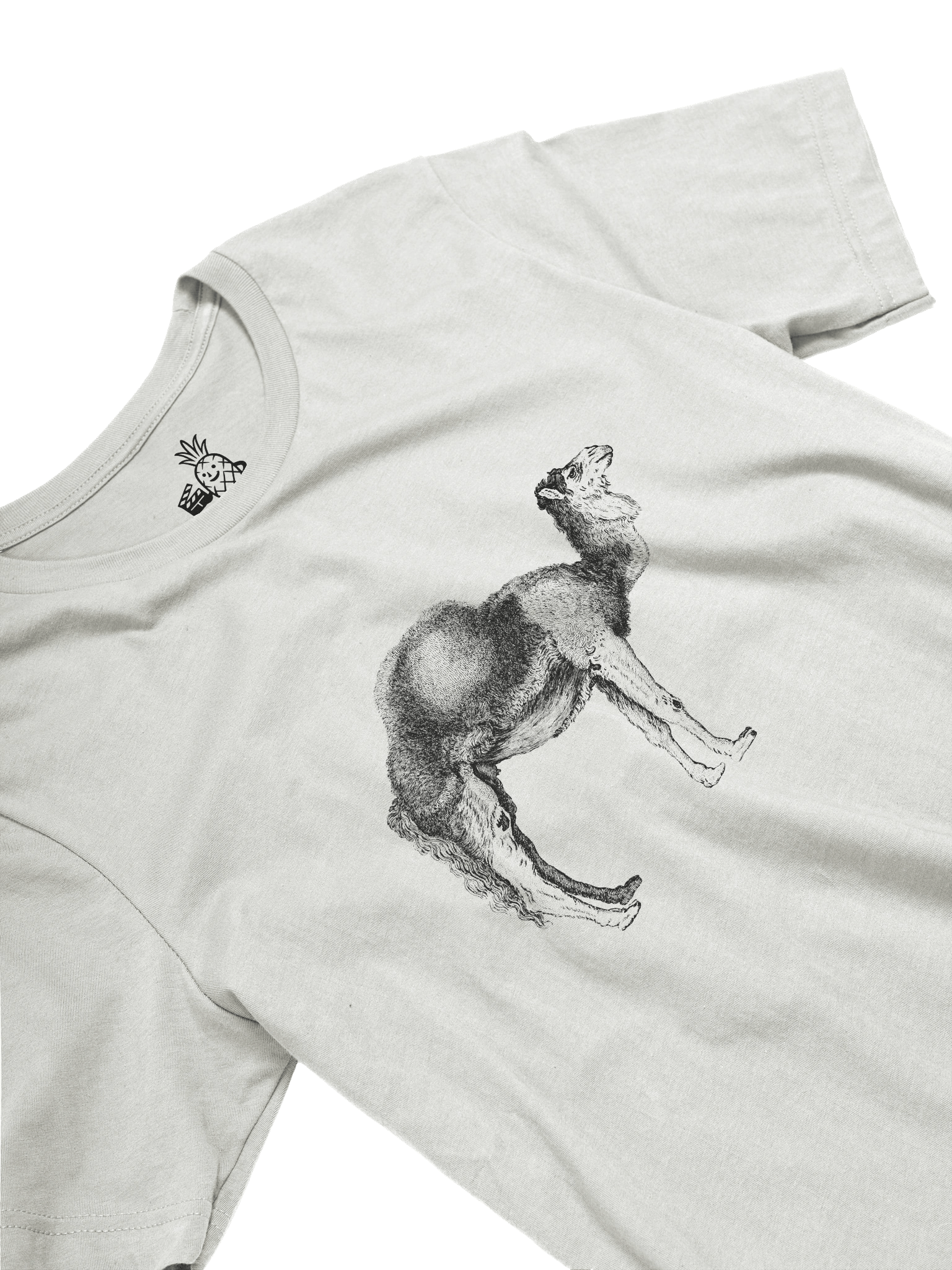 One Humped Camel Unisex T-Shirt product image (23)
