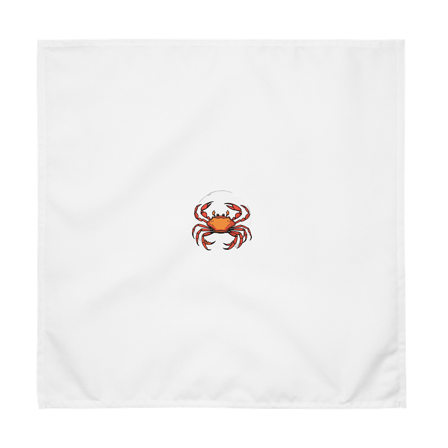 Crabby Chic Cloth Napkin Set product image (2)