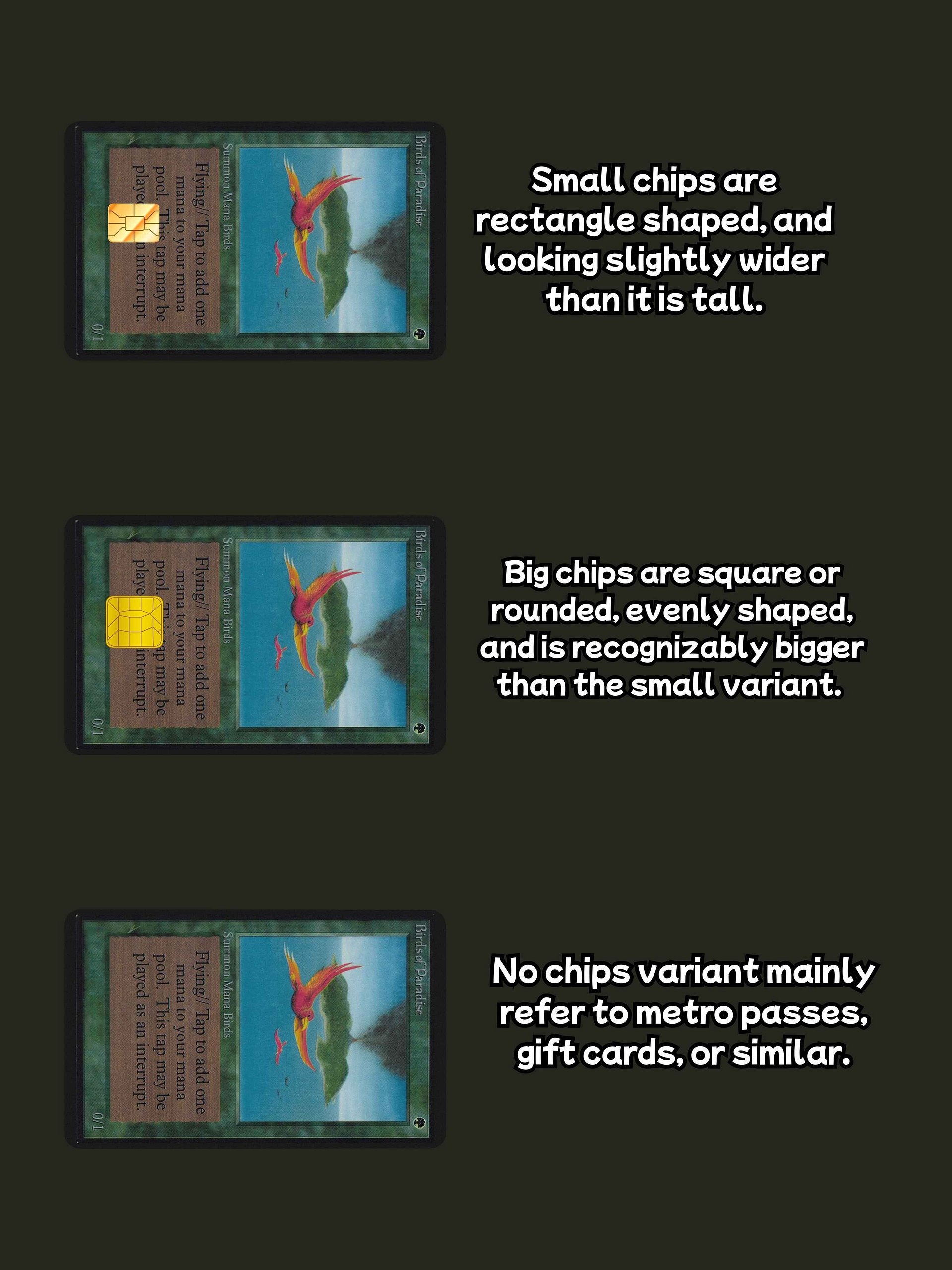 Birds of Paradise (Holographic) product image (3)