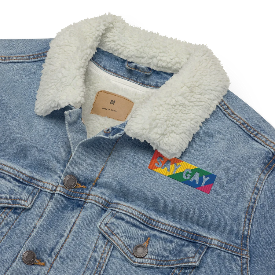 Say Gay #2 - Jacket product image (7)