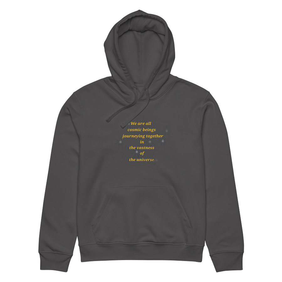 Cosmic Journey Unisex Organic Hoodie product image (6)