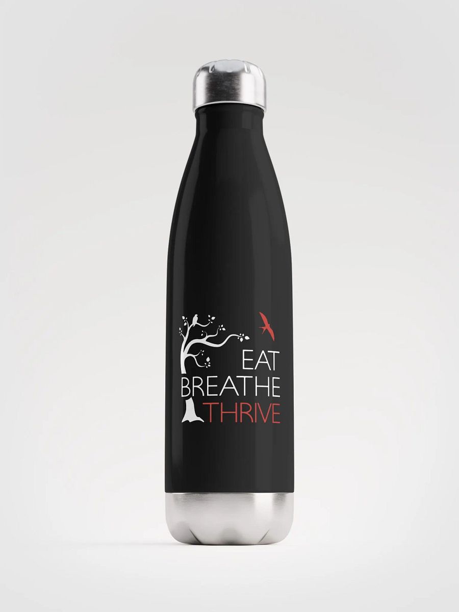 EBT water bottle | black product image (1)
