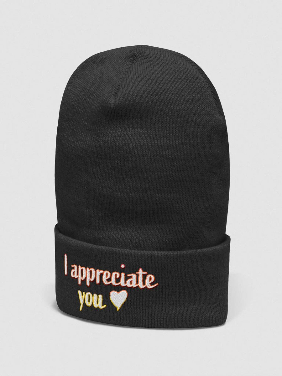 I appreciate you beanie product image (4)
